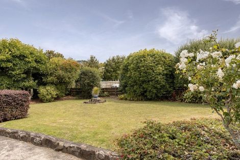 Photo of property in 17 Glenfield Place, Brookfield, Tauranga, 3110