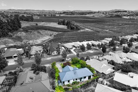 Photo of property in 271 Grandview Road, Western Heights, Hamilton, 3200