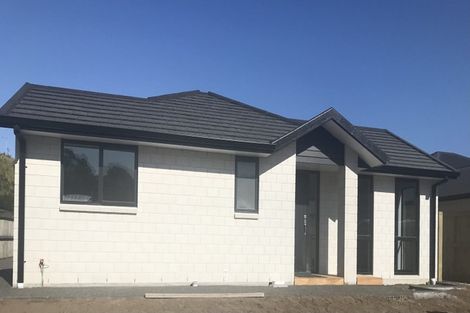 Photo of property in 60 Pakanga Grove, Pyes Pa, Tauranga, 3112