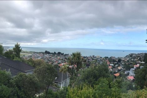 Photo of property in 12a Coney Hill Road, Saint Clair, Dunedin, 9012