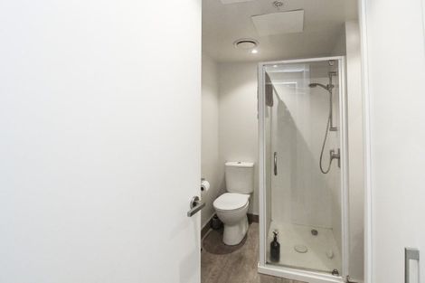 Photo of property in Soho Apartments, 305/74 Taranaki Street, Te Aro, Wellington, 6011