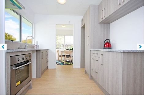 Photo of property in 105 Finlayson Avenue, Clendon Park, Auckland, 2103