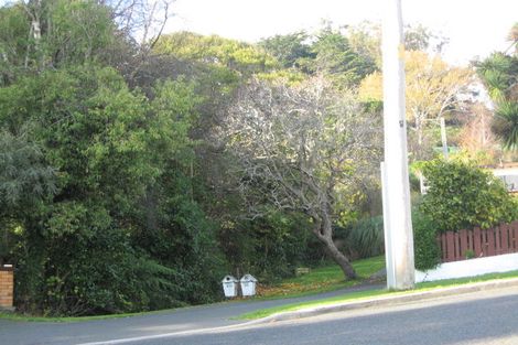 Photo of property in 45a Sunbury Street, Andersons Bay, Dunedin, 9013