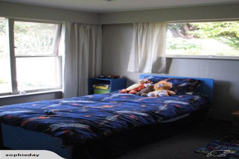 Photo of property in 19 Centennial Avenue, Helensburgh, Dunedin, 9010