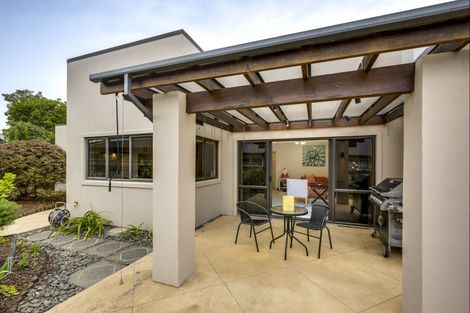 Photo of property in 3 Phoenix Place, Havelock North, 4130