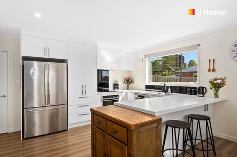 Photo of property in 19 Paterson Road, Mosgiel, 9092