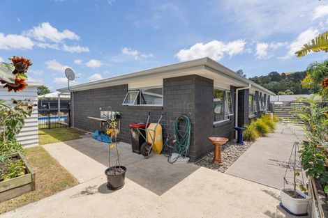 Photo of property in 338 Cook Drive, Whitianga, 3510