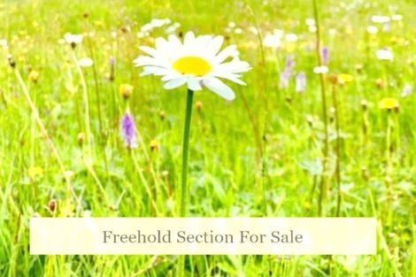 Photo of property in 49 Ascension Crescent, Orewa, 0931