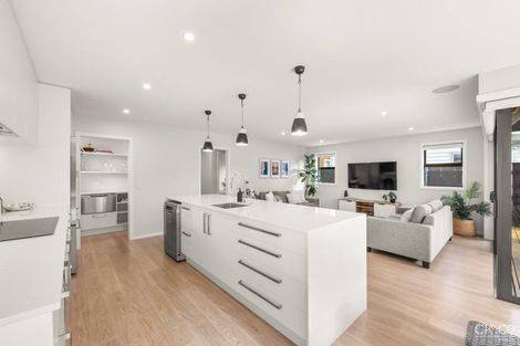 Photo of property in 15 Adelaide Street, Petone, Lower Hutt, 5012