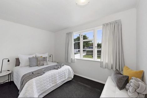 Photo of property in 141 Rimu Street, Maeroa, Hamilton, 3200