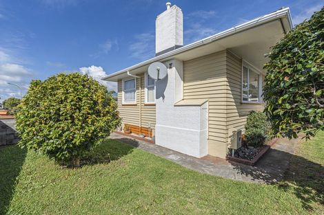Photo of property in 19 Hume Street, Waitara, 4320