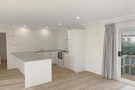 Photo of property in 605a Queen Street East, Akina, Hastings, 4122