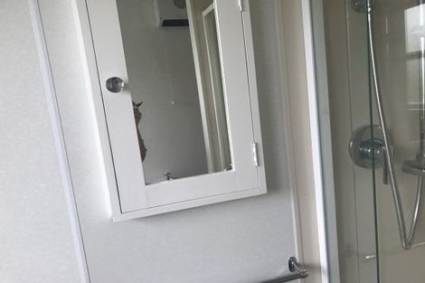 Photo of property in 343 Ruahine Street, Terrace End, Palmerston North, 4410