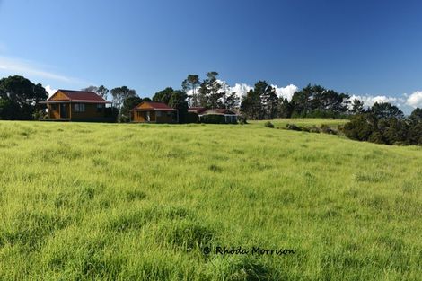 Photo of property in 986 Tinopai Road, Tinopai, Matakohe, 0593