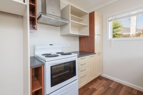 Photo of property in 19 Elizabeth Street, Richmond, 7020