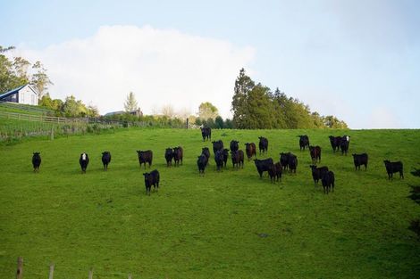 Photo of property in 20 Hereford Lane, Ararimu, Drury, 2579