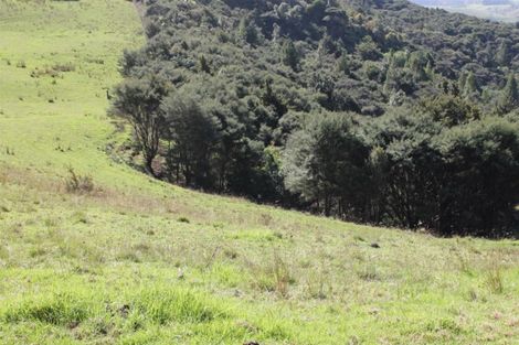 Photo of property in 86 Summer Road, Tinopai, Matakohe, 0593