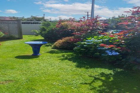 Photo of property in 61 Winchester Street, Levin, 5510