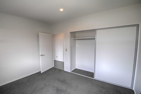 Photo of property in 87 Mary Ellen Street, Pegasus, 7612