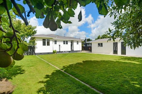 Photo of property in 52 Nottingham Avenue, Awapuni, Palmerston North, 4412
