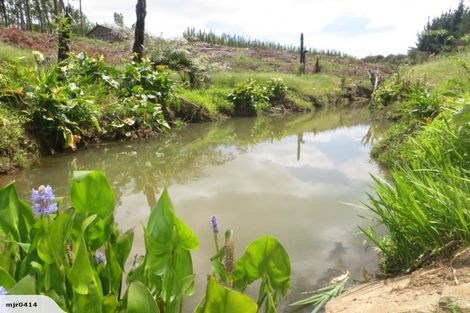 Photo of property in 59 Harbour View Rise, Mangonui, 0494
