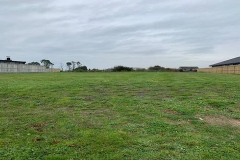 Photo of property in 51 Roy Hilton Drive, Flagstaff, Hamilton, 3210