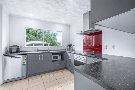 Photo of property in 31 Hastings Place, Hamilton Lake, Hamilton, 3204