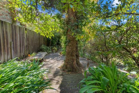 Photo of property in 16 Montpellier Street, Dunedin Central, Dunedin, 9016