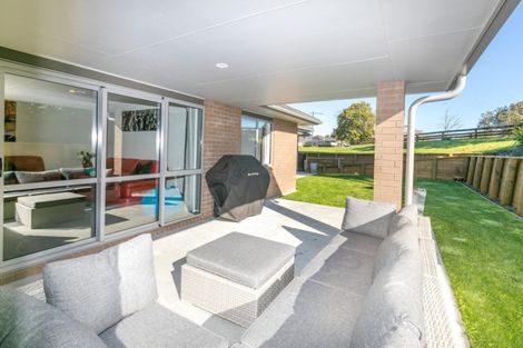 Photo of property in 48 Sylvester Crescent, Flagstaff, Hamilton, 3210