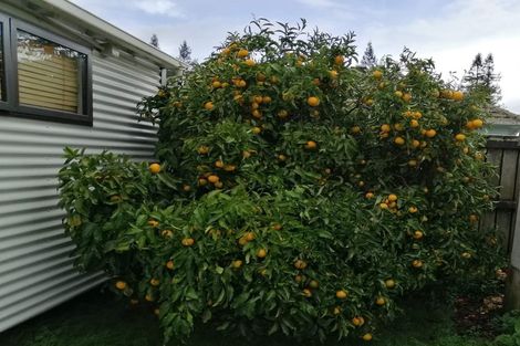 Photo of property in 62a Norrie Street, Bader, Hamilton, 3206