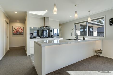 Photo of property in 38 Grigg Drive, Witherlea, Blenheim, 7201