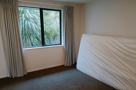 Photo of property in 47 Cranford Street, St Albans, Christchurch, 8014