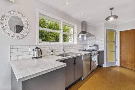 Photo of property in 38 Pelorus Street, Glenview, Hamilton, 3206