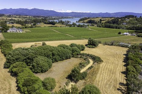 Photo of property in 50 Cliff Road, Tasman, Upper Moutere, 7173