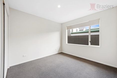 Photo of property in 70 Jerrold Street South, Spreydon, Christchurch, 8024
