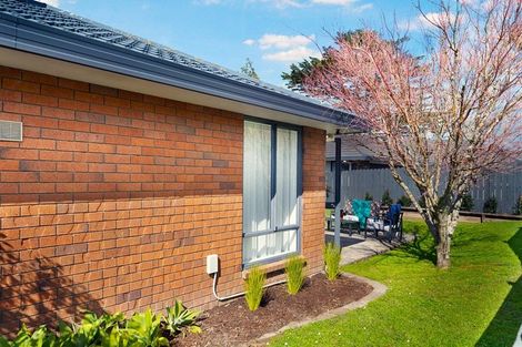 Photo of property in 8 Coupland Court, Glendene, Auckland, 0602
