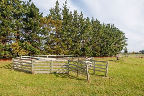 Photo of property in 1867 Makino Road, Halcombe, Feilding, 4779