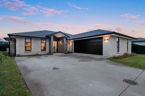 Photo of property in 59 Kahuparere Crescent, Pyes Pa, Tauranga, 3112