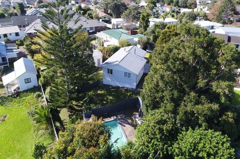 Photo of property in 20 Miltonia Avenue, Te Atatu South, Auckland, 0610