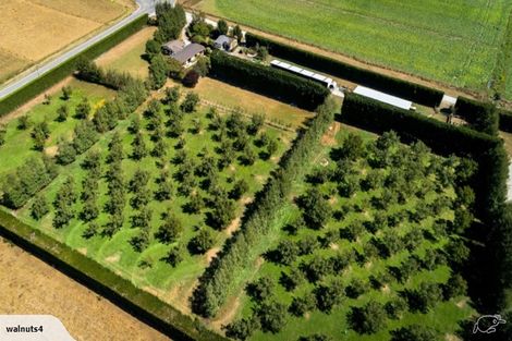 Photo of property in 556 Steffens Road, Starvation Hill, Oxford, 7495