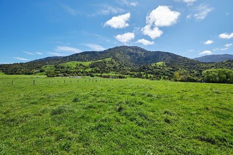 Photo of property in 53a Grange Road, Otumoetai, Tauranga, 3110