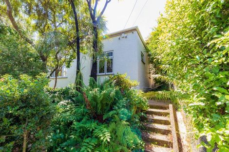 Photo of property in 51 Mechanic Street, North East Valley, Dunedin, 9010