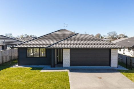 Photo of property in 26 Mural Drive, Katikati, 3129