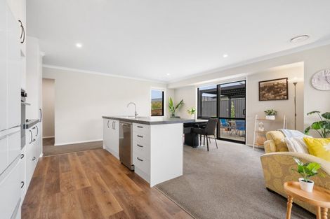 Photo of property in 41 Wallis Drive, Cromwell, 9310