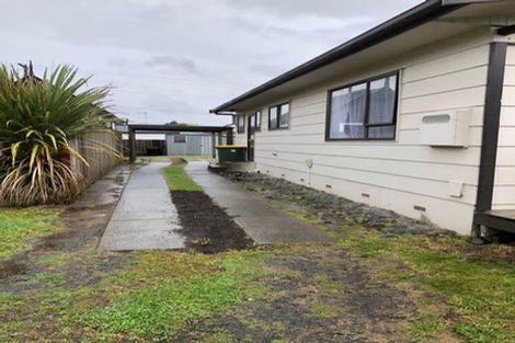 Photo of property in 157c Nixon Street, Hamilton East, Hamilton, 3216