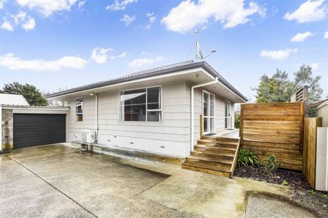 Photo of property in 58a Alison Street, Hamilton Lake, Hamilton, 3204