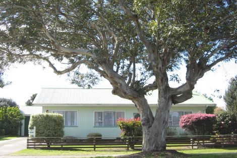 Photo of property in 39 Lahore Street, Wairoa, 4108