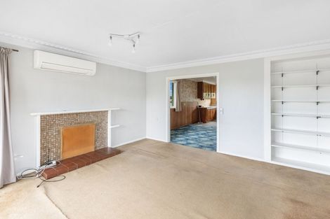 Photo of property in 60 Wentworth Street, East Gore, Gore, 9710