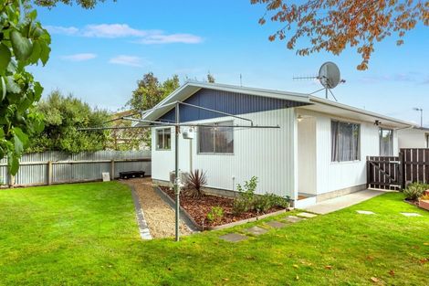 Photo of property in 1029b Konini Street, Mahora, Hastings, 4120