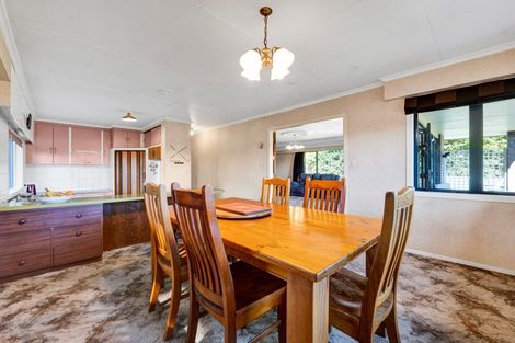 Photo of property in 13 Regan Street, Stratford, 4332